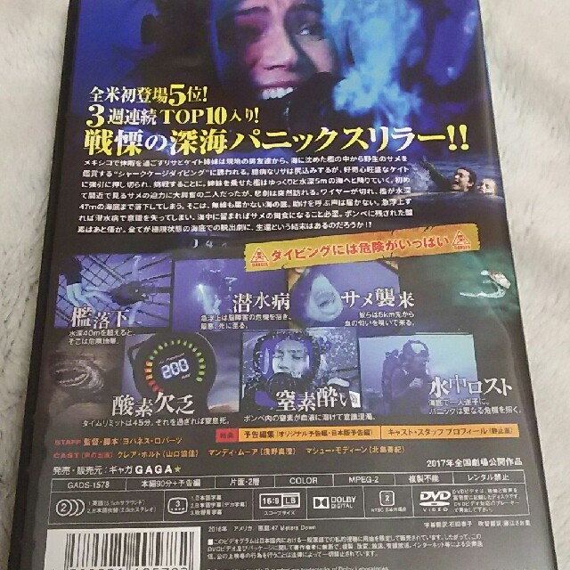 DVD 『海底47m』 エンタメ/ホビーのエンタメ その他(その他)の商品写真