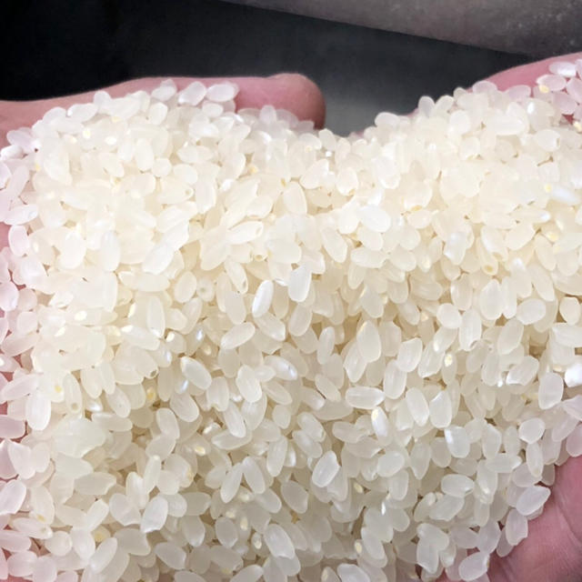 農家直送の美味しいお米 あきだわら お米10キロ お米10㎏