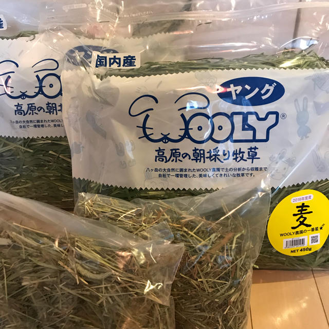 ウーリー 高原の朝採り牧草 麦ヤング 2018年度産 - 小動物