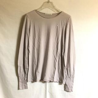 ミナペルホネン(mina perhonen)の専用)mina perhonen カットソー(カットソー(長袖/七分))