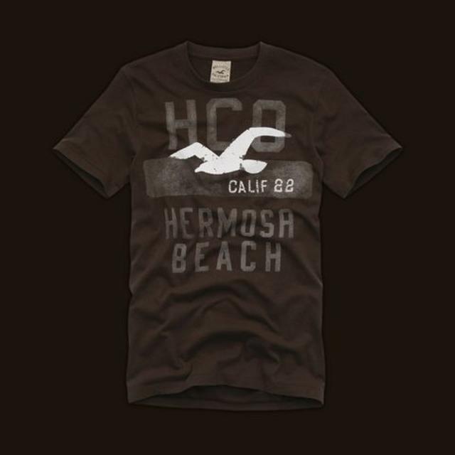 Hollister(ホリスター)のホリスター プリント　半袖Ｔシャツ　L メンズのトップス(Tシャツ/カットソー(半袖/袖なし))の商品写真