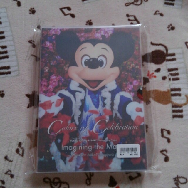 Disney - イマジニング写真集