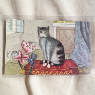 アッシュペーフランス(H.P.FRANCE)のJohn Derian ジョンデリアン ポストカード ① CALM CAT 猫(使用済み切手/官製はがき)