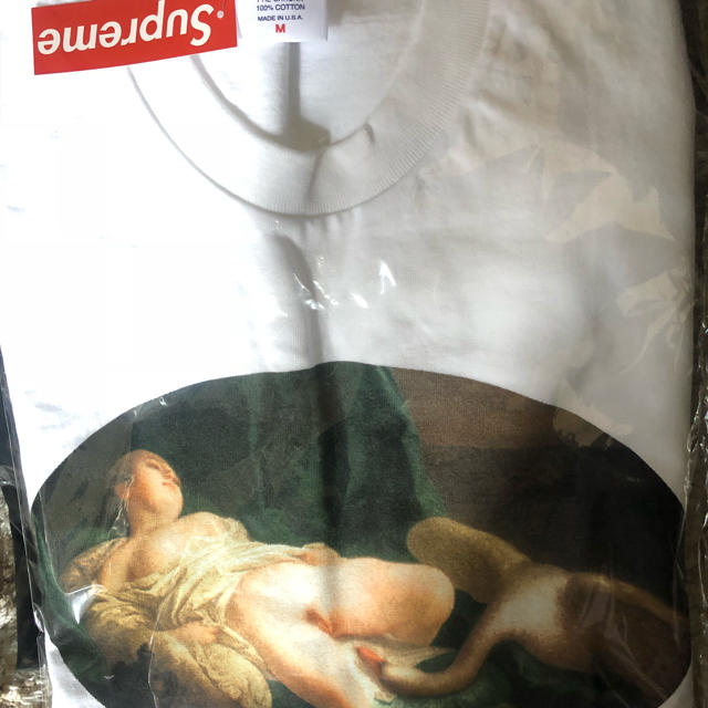 メンズsupreme 19ss leda and swan tee T-shirt