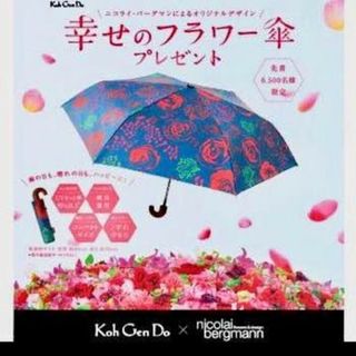 コウゲンドウ(江原道(KohGenDo))の◇未開封 江原道 オリジナルアンブレラ 折りたたみ傘 親骨55cm◇(傘)