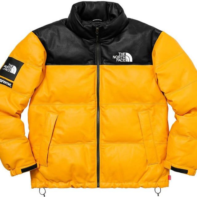 Supreme(シュプリーム)のsupreme the northface leather nuptse メンズのジャケット/アウター(ダウンジャケット)の商品写真