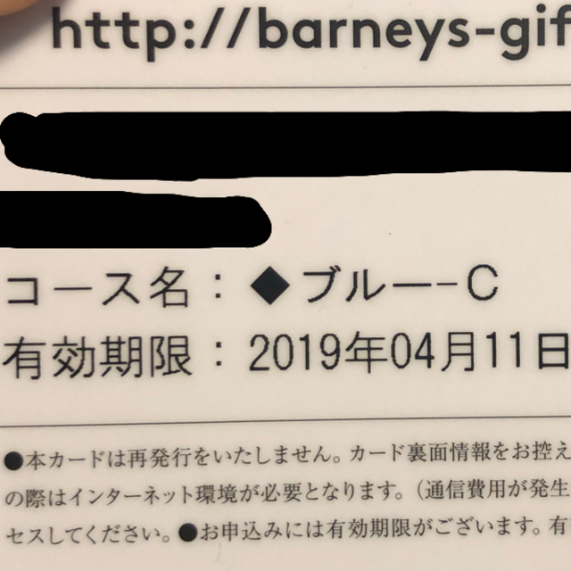 BARNEYS NEW YORK(バーニーズニューヨーク)の【週末値下げ】バーニーズニューヨーク カタログギフト チケットの優待券/割引券(ショッピング)の商品写真