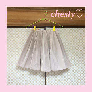 チェスティ(Chesty)の♡まいまい/Chay メモリースカート♡(ひざ丈スカート)