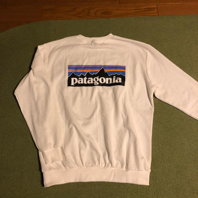 patagonia(パタゴニア)のpatagonia 風  made in KOREA レディースのトップス(パーカー)の商品写真