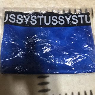 ステューシー(STUSSY)のSTUSSY WOMEN ノベルティ クラッチバック新品未使用(クラッチバッグ)