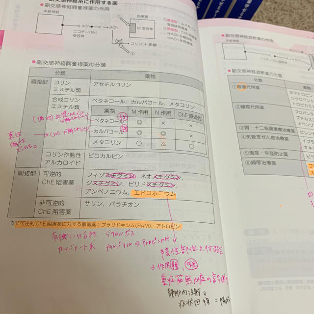 領域別既出問題集 9冊セット エンタメ/ホビーの本(語学/参考書)の商品写真