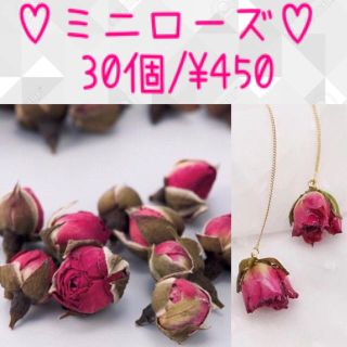 30粒/入手困難／ローズバッド/ ミニバラドライフラワー/花材／薔薇蕾  (各種パーツ)