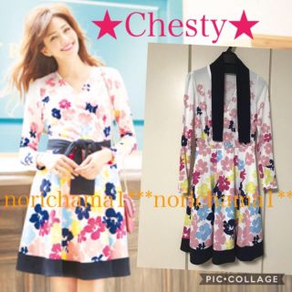 チェスティ(Chesty)のチェスティ カシュークール ワンピース 授乳服 マタニティ(マタニティワンピース)