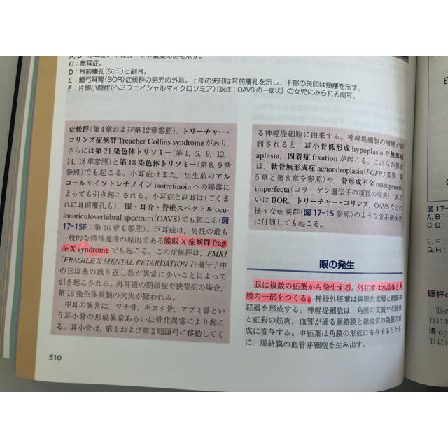 ラーセン人体発生学 第4版 エンタメ/ホビーの本(語学/参考書)の商品写真