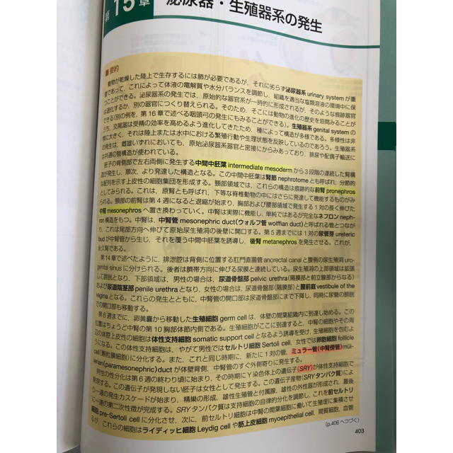 ラーセン人体発生学 第4版 エンタメ/ホビーの本(語学/参考書)の商品写真