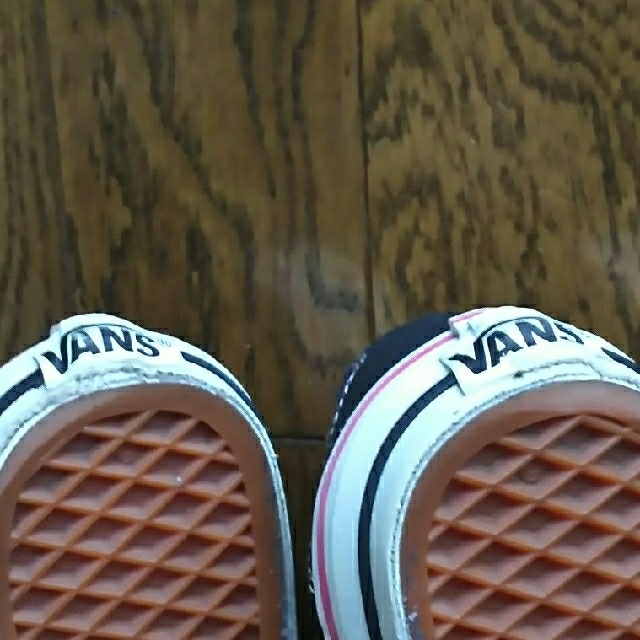 VANS(ヴァンズ)のVANS 24.5cm スニーカー (外箱なし) レディースの靴/シューズ(スニーカー)の商品写真