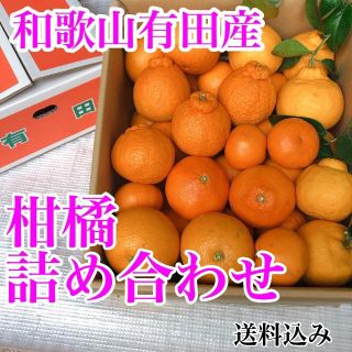 和歌山有田産 柑橘詰め合わせ(フルーツ)