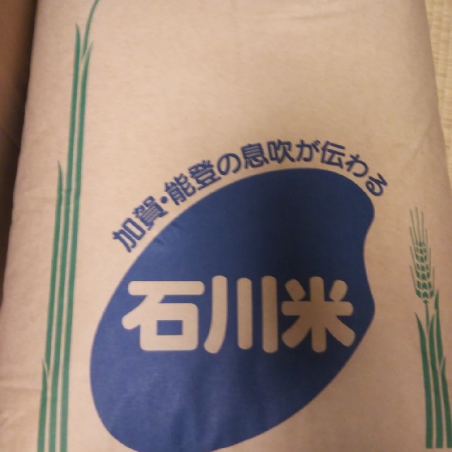 食品/飲料/酒石川県産こしひかり　玄米３０kg ( 中米)