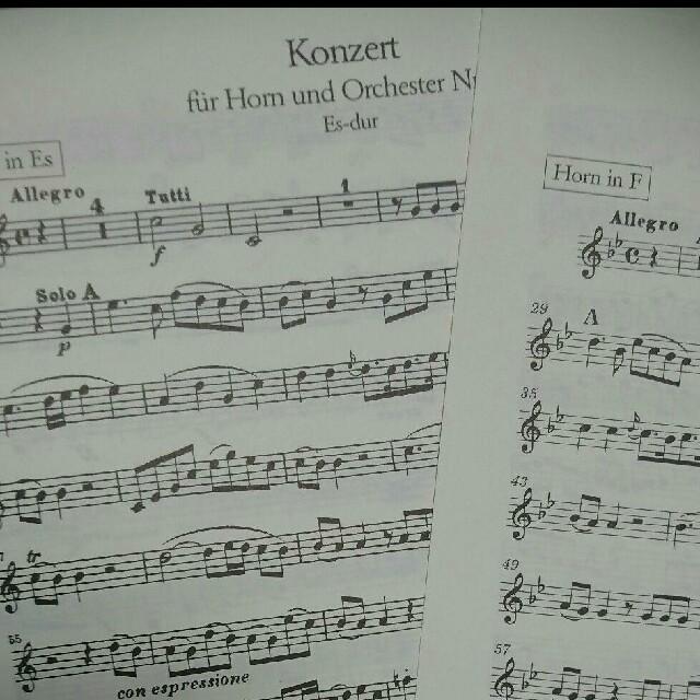 モーツァルト ホルン協奏曲第3番 変ホ長調 KV447 楽器のスコア/楽譜(クラシック)の商品写真