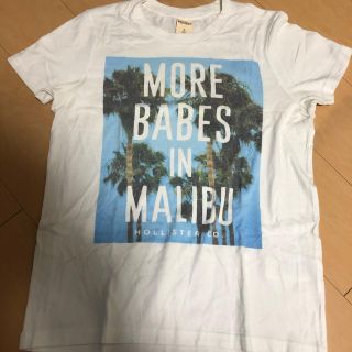 ホリスター(Hollister)のホリスター  ボタニカル Tシャツ(Tシャツ/カットソー(半袖/袖なし))