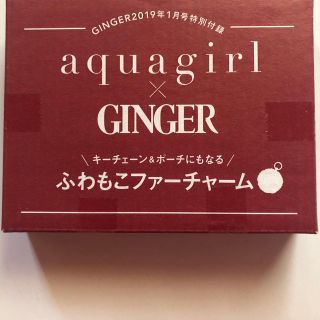 アクアガール(aquagirl)のふわもこファーチャーム ❣️(ポーチ)