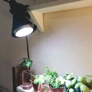 IKEA 植物栽培ライト 植物育成ライト