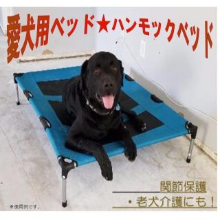 大人気♡コット♡おひるねベッド♡老犬介護♡ドッグ ベッド ♡犬♡愛犬☆関節保護(犬)