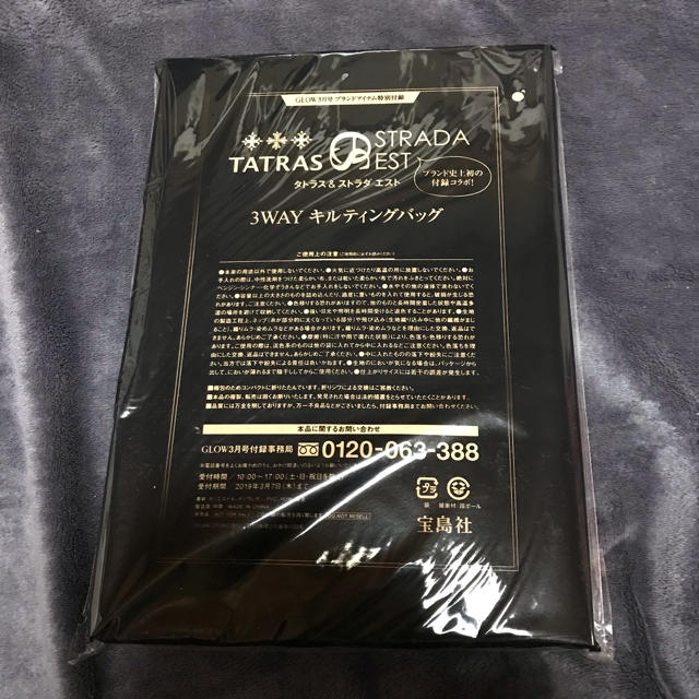 TATRAS(タトラス)のGLOW付録 レディースのバッグ(その他)の商品写真