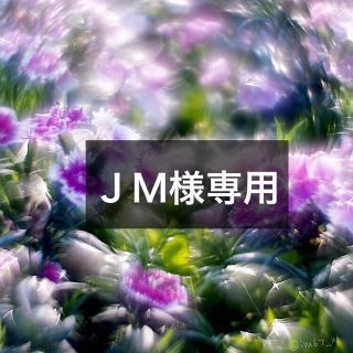 ＪＭ様専用レンズ(レンズ(単焦点))