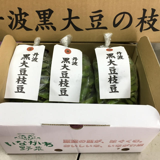 丹波黒枝豆(枝取り処理済み) 食品/飲料/酒の食品(野菜)の商品写真