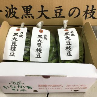 丹波黒枝豆(枝取り処理済み)(野菜)