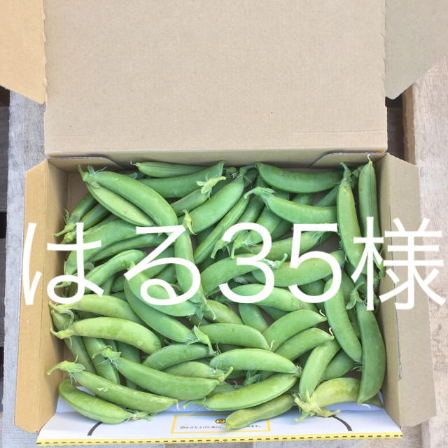 鹿児島産スナップエンドウ箱込み500g^_^ 食品/飲料/酒の食品(野菜)の商品写真