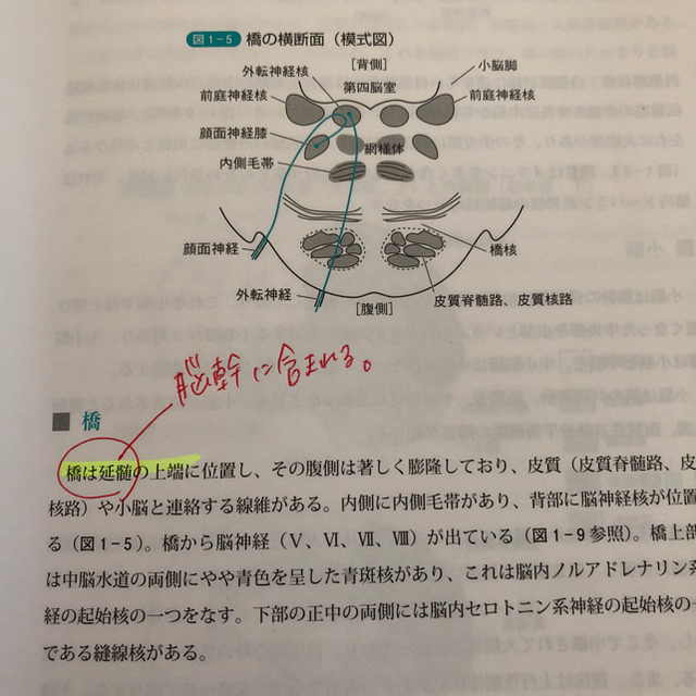 精神保健福祉士教科書セット エンタメ/ホビーの本(資格/検定)の商品写真