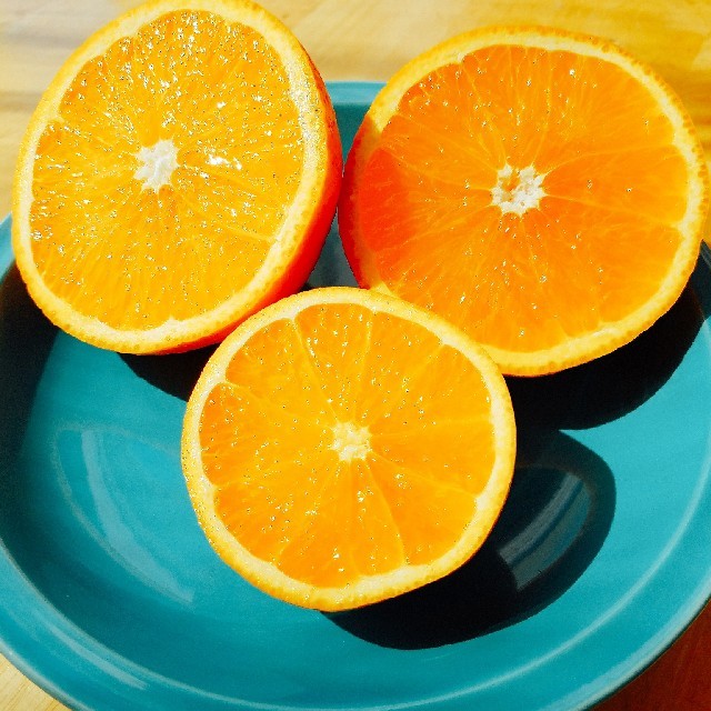 和歌山美味しい有田清見オレンジ 食品/飲料/酒の食品(フルーツ)の商品写真