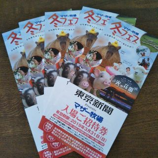 マザー牧場　入場招待券　５枚(遊園地/テーマパーク)