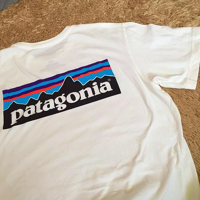patagonia(パタゴニア)のPatagoniaメンズＭ未使用 レディースのトップス(Tシャツ(半袖/袖なし))の商品写真