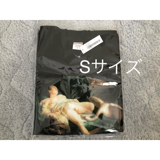 Tシャツ/カットソー(半袖/袖なし)supreme Leda And The Swan Tee Sサイズ