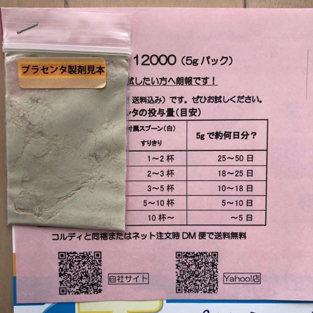 コルディG【賞味期限2022.01】プラセンタ見本付き