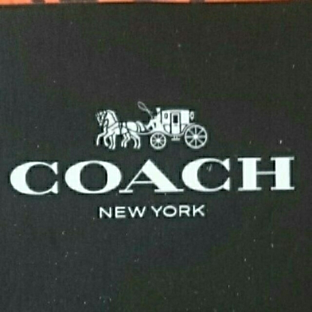 COACH(コーチ)のCOACH ピンバッジ エンタメ/ホビーのアニメグッズ(バッジ/ピンバッジ)の商品写真