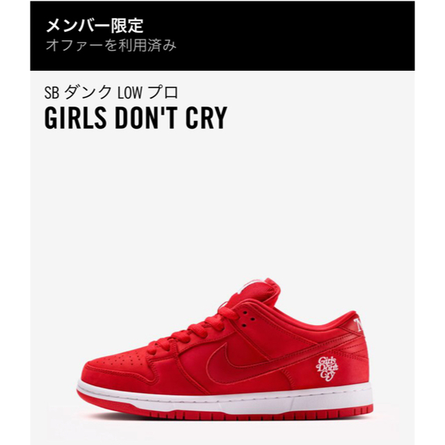 靴/シューズNike sb girls don’t cry