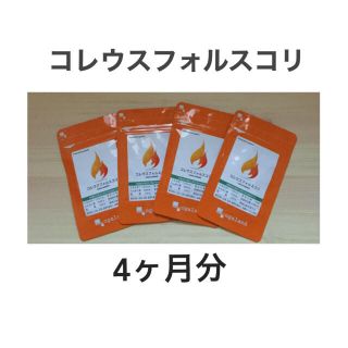 コレウスフォルスコリ  4袋     日本製健康食品(その他)