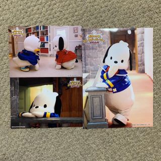 サンリオ(サンリオ)のポチャッコ ペックル 写真 サンリオ(キャラクターグッズ)