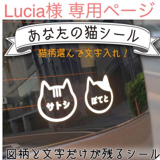 【 Lucia様  専用ページ 】(オーダーメイド)