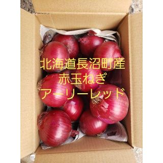 北海道長沼町産赤玉ねぎ【アーリーレッド】訳あり品・約２キロ(野菜)