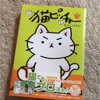 猫ピッチャー 1(その他)