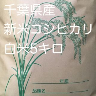コシヒカリ白米5キロ(米/穀物)