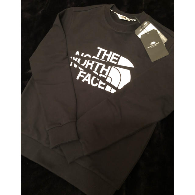 THE NORTH FACE(ザノースフェイス)の本日セール！日本未入荷 ザノースフェイスVAIDEN SWEATSHIRTS メンズのトップス(スウェット)の商品写真