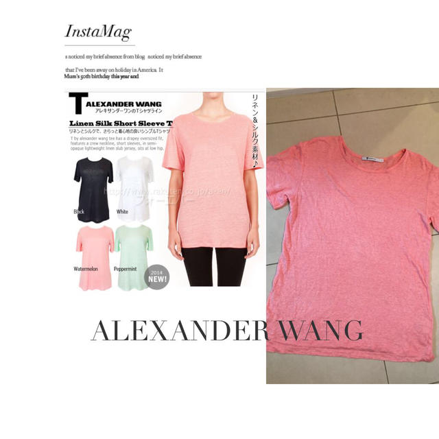 Alexander Wang(アレキサンダーワン)のALEXANDERWANG💓カットソー レディースのトップス(カットソー(半袖/袖なし))の商品写真