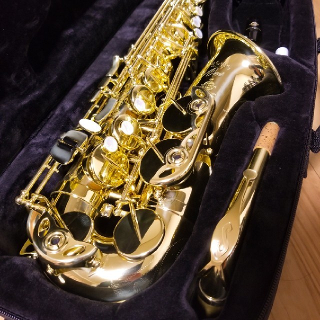 H.Selmer ALTO SAX AXOS　セルマー　アルトサックス　アクソス 楽器の管楽器(サックス)の商品写真