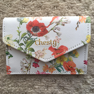 チェスティ(Chesty)のchesty マルチミニ財布(コインケース)